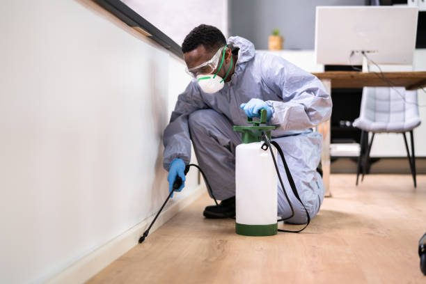 Best Residential Pest Control  in Honsville, GA